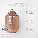 2.11 Gallon/ 8 Litre Water Dispenser, Drink Water Dispenser With 2 Pcs Copper Glass & Water Bottle Hand Hammered 100% Pure Copper, Lid and Stainless Steel Spigot Included - Water Jug Dispenser