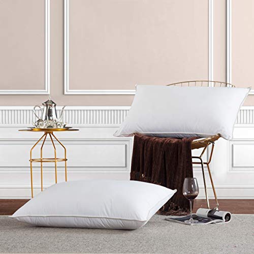 Premium Goose Down Pillow - King Size - 750 Fill Power - 1200 Thread Count 100% Egyptian Cotton Cover, White (Soft - Medium Firm)