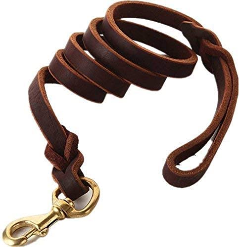 Pet Believe Braided Leather Strap Leash 6ft Walking Training Leads for German Shepherd Dog (B08796T1X5) Amazon Price History, Amazon Price Tracker