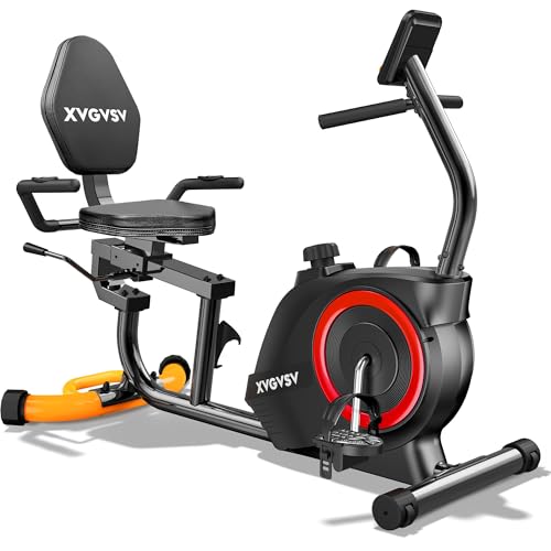 Recumbent Exercise Bike for...