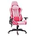 Wahson Gaming Stuhl Schreibtischstuhl Racing Stuhl Bürostuhl mit 2D Verstellbaren Armlehnen und Katze-Form Kopfstütze,Ergonomisch Sportsitz/Drehstuhl Chefsessel/Gaming Racer (Rosa)