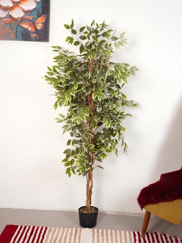 Image of Artificial Variegated Ficus Tree with Pot, (6 Ft) Tall, Premium Faux Indoor Plant, Realistic Decorative Tree for Living Room, Office, Hotel, Reception & Commercial Spaces