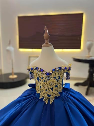 Romantic Off Shoulder Flower Girl Wedding Enhanced by Gold Lace Applique Beading Communion Dress for Girls4