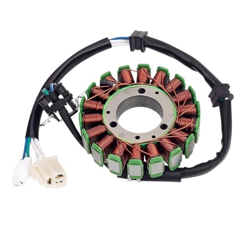 Stator bobine moto pour YS250 et YBR250 de 2007 à 2011