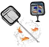 Photo Gallery qiruired rete da pesca per acquario – 2 in 1 rete di isolamento per acquari, piccola rete da pesca a maglia fine in acciaio inox, manico regolabile, retino quadrato per pesci o per la cattura di Photo Gallery qiruired rete da pesca per acquario – 2 in 1 rete di isolamento per acquari, piccola rete da pesca a maglia fine in acciaio inox, manico regolabile, retino quadrato per pesci o per la cattura di
