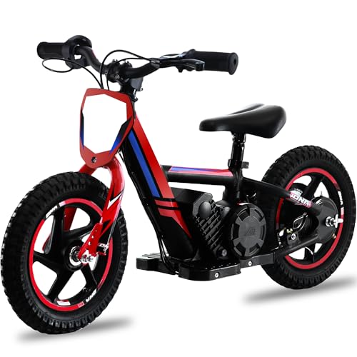 Blissskip Kids Electric Dirt Bike - Lightweight, 170W, 10MPH Max, 24V 2.6A Removable Battery, Off-Road Tires, Manual Dual Disc Brakes, 2-Speed Adjustment, Electric Balance Bike for Ages 3-6
