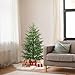 ENVEN 4FT Pre-Lit Artificial Norfolk Pine Christmas Tree – Realistic Potted Tree with 100 LED Lights & 8-Function Battery Box, Pre-Assembled Faux Holiday Décor for Indoor Use