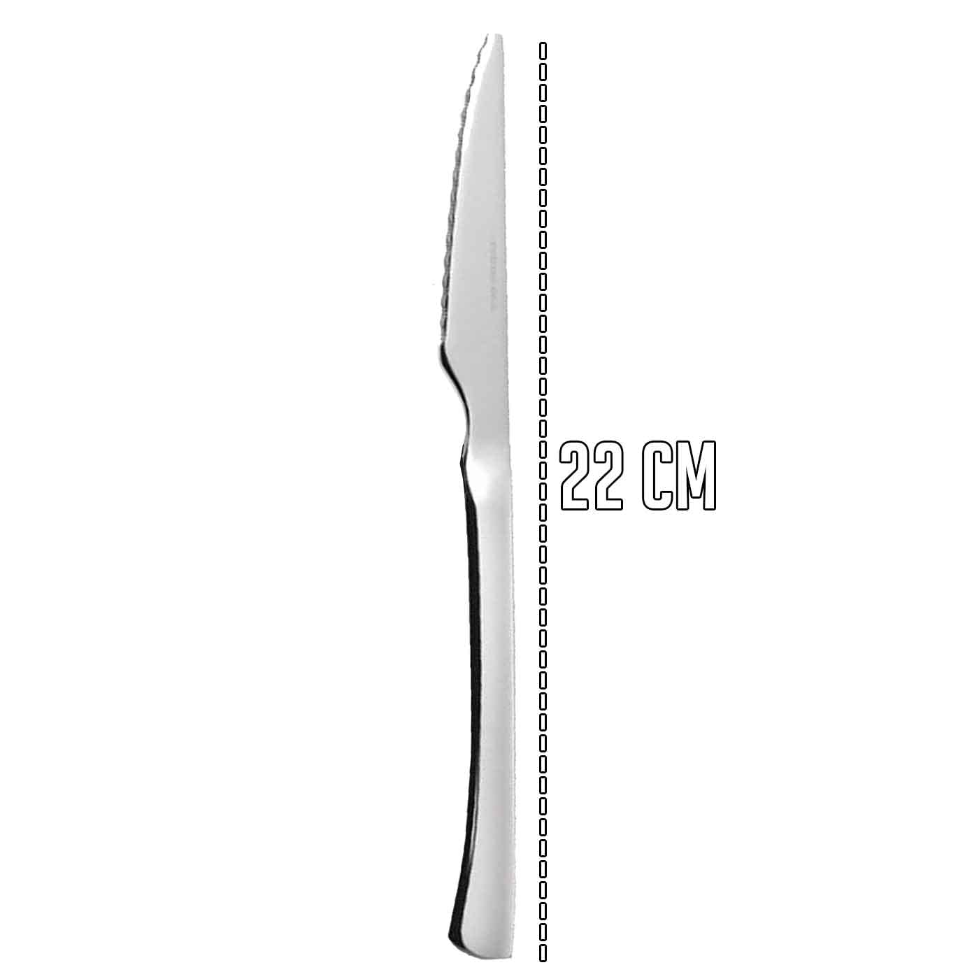 ACAN Tradineur - Pack de 24 Cuchillos Chuleteros, Acero Inoxidable, Cubiertos Clásicos de Mesa, Aptos para Lavavajillas - 22 cm