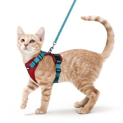 Image of rabbitgoo Cat Harness and Leash Set, Escape Proof Vest, Red & Teal | Soft Breathable Mesh, Easy Adjustable Fit, Snap Buckles, Sturdy Clip, Reflective Strips, for Average Cats Walks, S