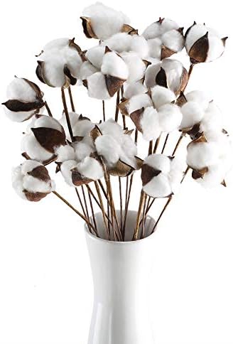 Gtidea 20 Pcs Cotton Stems 23 Artificial Cotton Plant Dried Flower Cotton Floral Arrangements Faux Flowers For Farmhouse Halloween Thanksgiving Vase Filler Fall Home Decor Amazon Sg Home