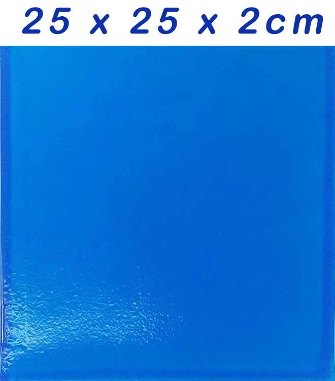 Placa de gel para sillines de moto y scooter (2 cm)