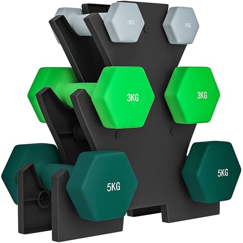 SPORTNOW Set di Manubri da Palestra con Supporto in Acciaio,