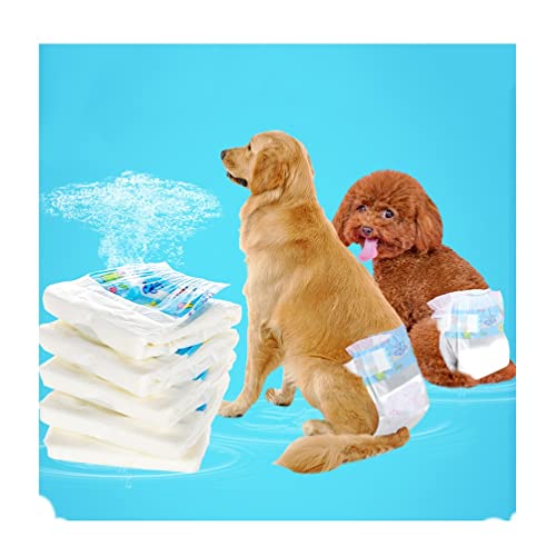 Ropa Perros Medianos Hembra Marca 