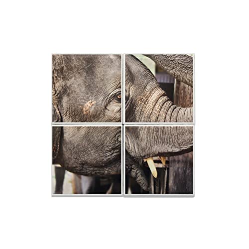 Carreaux céramique éléphant décor artistique haut de gamme 30cm