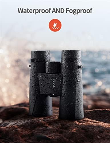 Amazon Brand - Eono Binoculars,10x42 HD Compact Binoculars with Clear Vision, Good Prism, FMC Lens, Waterproof Great for Bird Watching Hunting Travel Football Games with Smartphone Adapter