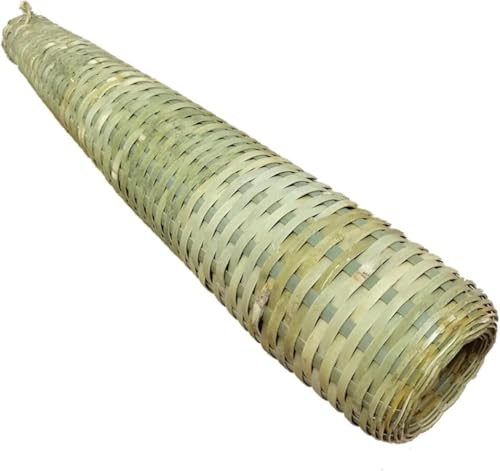 Ȃ | AiS d| ߊl  ߊl   q  d|AEghA 傫TCY 60cm ő咼a10cma e y Ȃ   @\Jj hWE UKj Gr Gr gѕ֗ ėp\ (1)