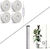 Barrina T10 Pro Standing Grow Light With Timer – 42W Full Spectrum 169 LEDs – Adjustable Height 4FT To 5.6FT For Tall Indoor Plants, Flowers & Shelves