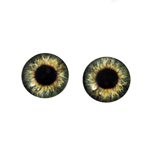 Juego de 2 esculturas de taxidermia con ojos de cristal de 14...