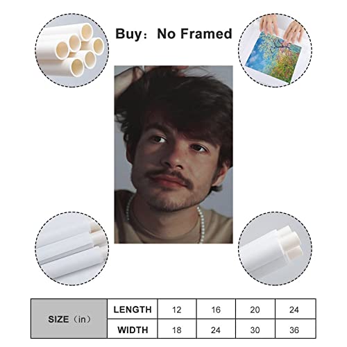 Poster Rex Orange County 40x60 cm pour déco chambre ado