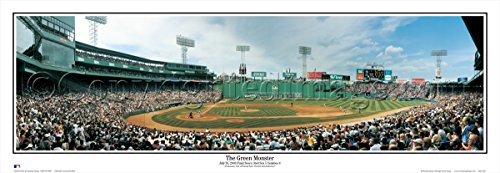 Everlasting Images Boston Red Sox "Green Monster" Black Framed Photo #TOP8