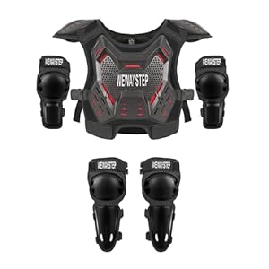 41fgpzrjoql. sl500 . ss300