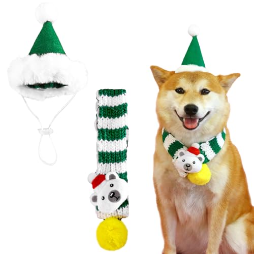 yBEAUTY PLAYERzNX}X  L RXv O[ Xq }t[ ^ ^  蕨  ʔ ڂɗ  ϐg ͋C[J[ Be