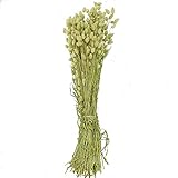 Naturosphère