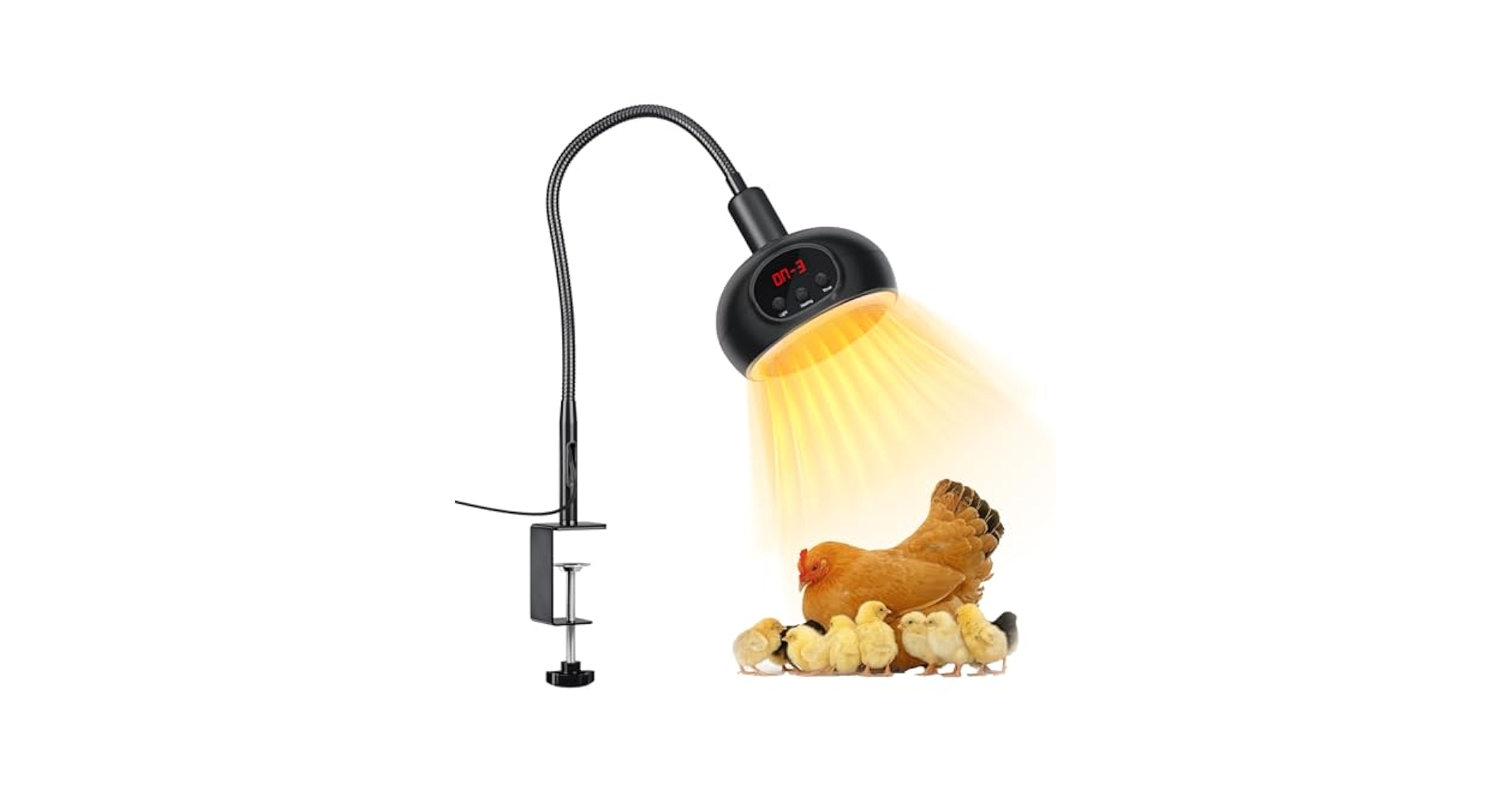 BUMP OF CHICKEN　LAMP 41fgsQ7FZeL.jpg_BO30,255,255,