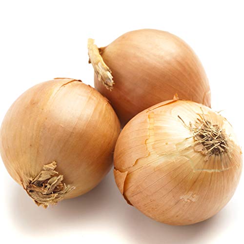 Organic Yellow Onion, 48 Ounce Bag #TOP1