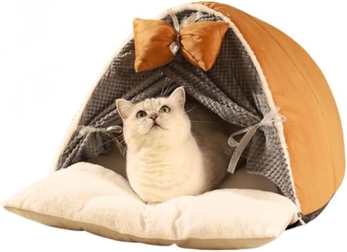 Zeruho L xbg pxbh ybg xbh L xbh h[^ gt ybgxbh  g LnEX 􂦂 NbVt ybgnEX   ^xbh hۉ L lRQ L̉ Snǂ Lp 