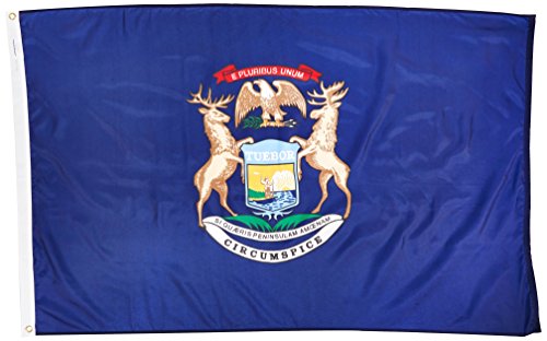 Michigan State Drapeau USA drapeau américain 3x5 pour supporter et mât - 2