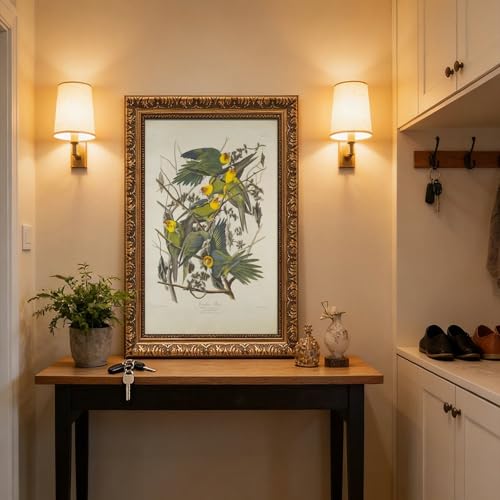 Poster Carolina Parrots John James Audubon : la solution pour vos murs vides - 5