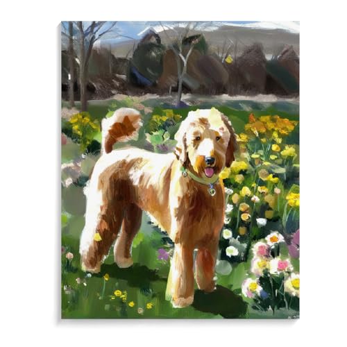 Paint by Numbers for Adults Goldendoodle dogDIY Acrylic Watercolor Oil Painting by Number On Canvas Paint for Home Wall Decor 12x16inch(30x40cm) Frameless