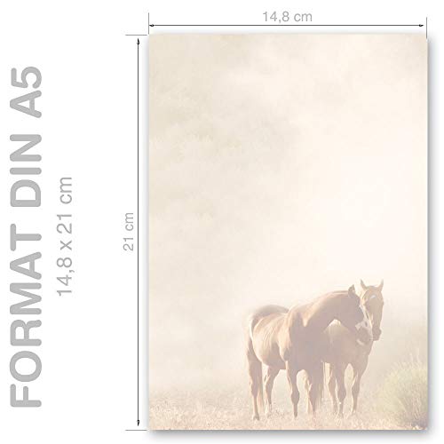 50 fogli di carta da lettera decorati Animali