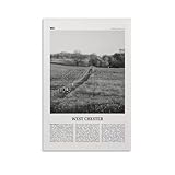 Regalo perfecto: puedes regalarlo como un regalo, porque nos centramos en los detalles, el embalaje está equipado con guantes, protectores de esquina y accesorios de instalación. Es el mejor regalo para amigos y familiares en cualquier festival u otras ocasiones especiales.