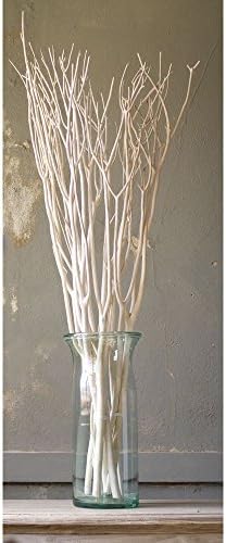 White Bleached Willow Branches - 48"H, 3 Branches