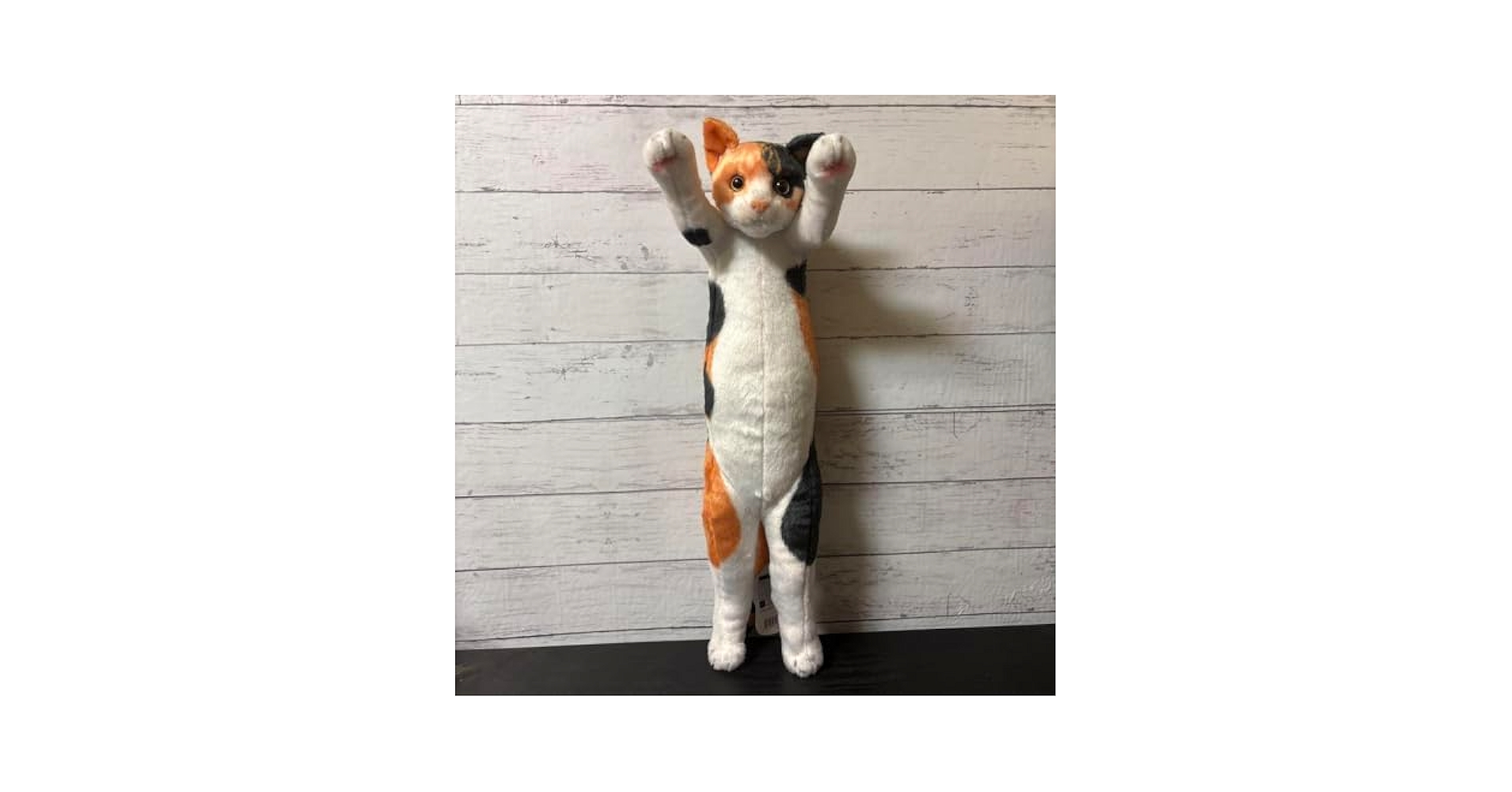 Amazon.co.jp: たっちぃzooにゃんこ 自立するぬいぐるみ : おもちゃ