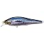 01 GG Sardine