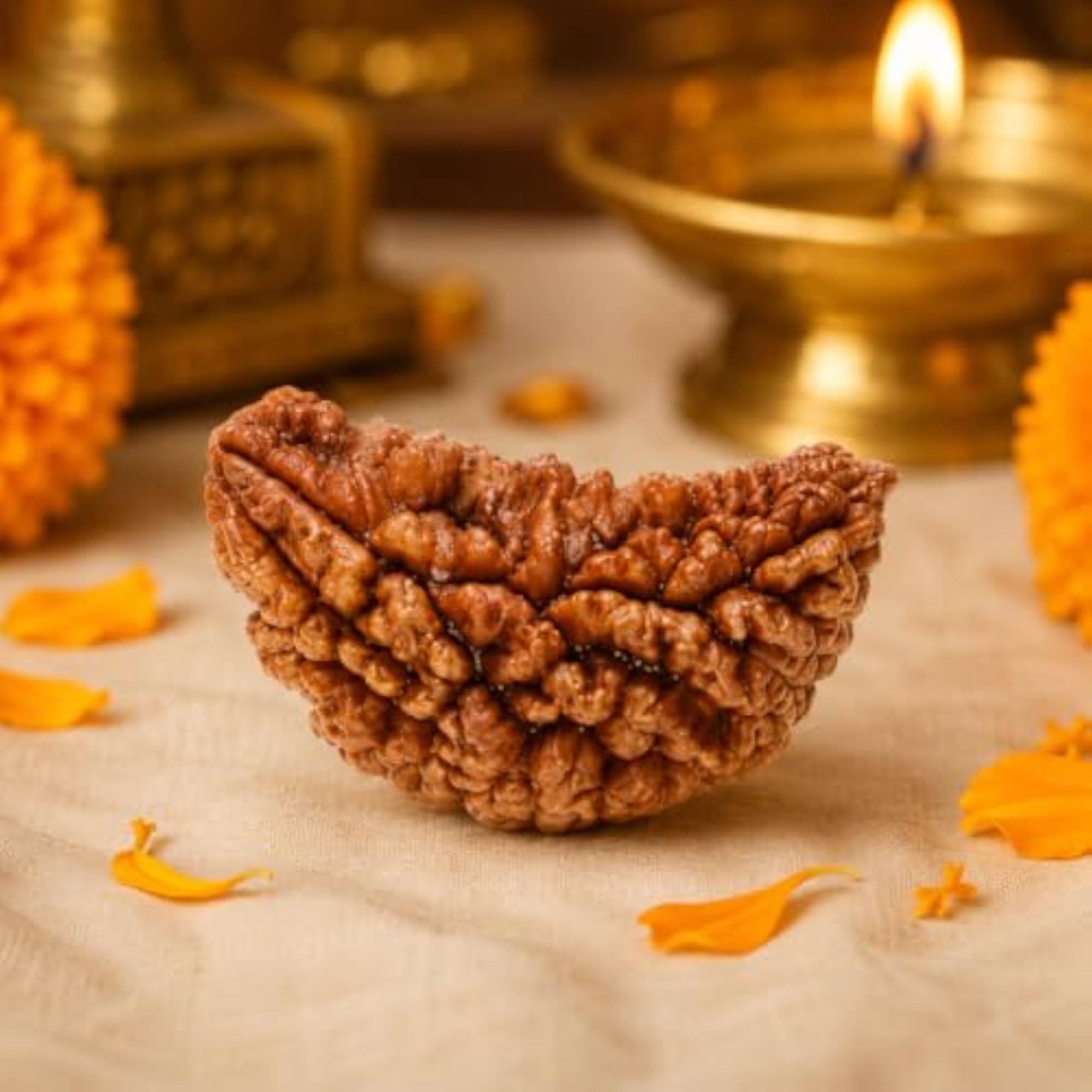 Original 1 Mukhi Rudraksha Nepali Bead