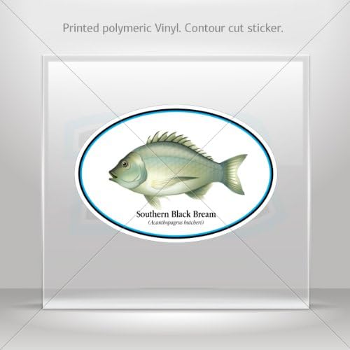 Decal Sticker Southern black bream car helmet window bike Garage door 6 X 4.1 Inches Vinyl color print 0600 XR2X3