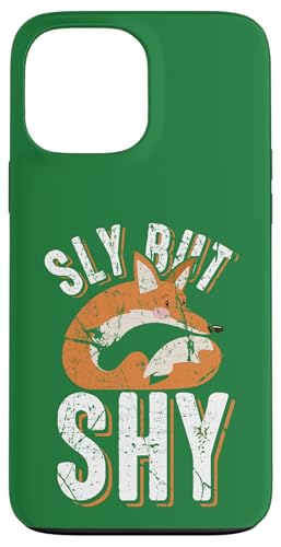 ���邢���ǒp���������艮�̂��킢���L�c�l�̓����I�ȃA���e�B�[�N �X�}�z�P�[�X iPhone 13 Pro Max �p