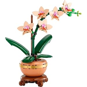 Amazon.co.jp - レゴ® ボタニカル ラン＜ミニ＞ 10343