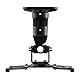 PureMounts Beamer Deckenhalterung Spider-Plus-B - 25 grad neigbar und 360 grad drehbar, 220mm Deckenabstand,(15kg), Lochabstand 180-310mm, schwarz