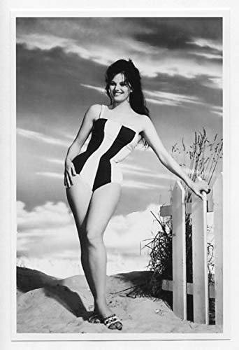 Amazon.co.jp: 映画女優 クラウディア・カルディナーレ 写真/フォト(小