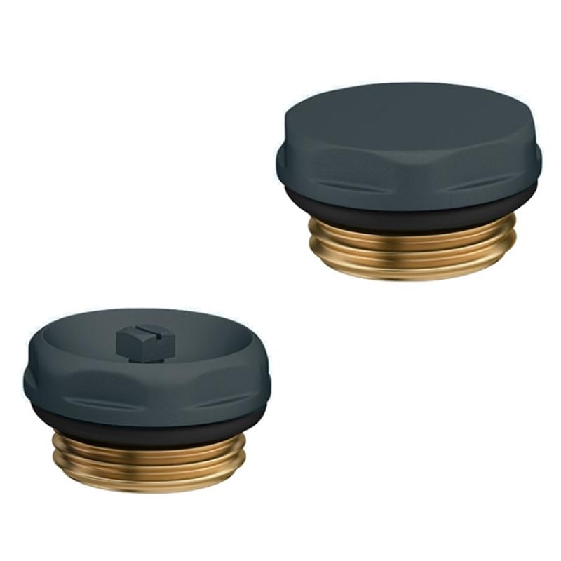 Anthracite Grey Brass Radiator Bleed Valve Blanking Plug - 1/2" Blanking Plug (1 Bleed Valve, 1 Blanking Plug)