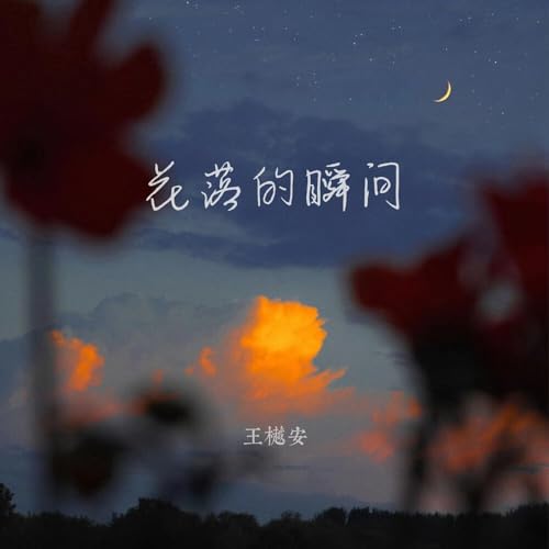 Amazon Musicで王樾安の花落的瞬间を再生する