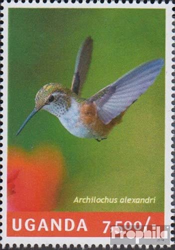 Prophila Collection Uganda 3224 (Completa