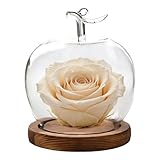 Glaskuppel, Bürodekoration, Obstform, Glasglocke für Figuren, für Sammler, Büro, Geschäft, Hochzeit, Schmuck, Sammlung, Figuren, Puppen,