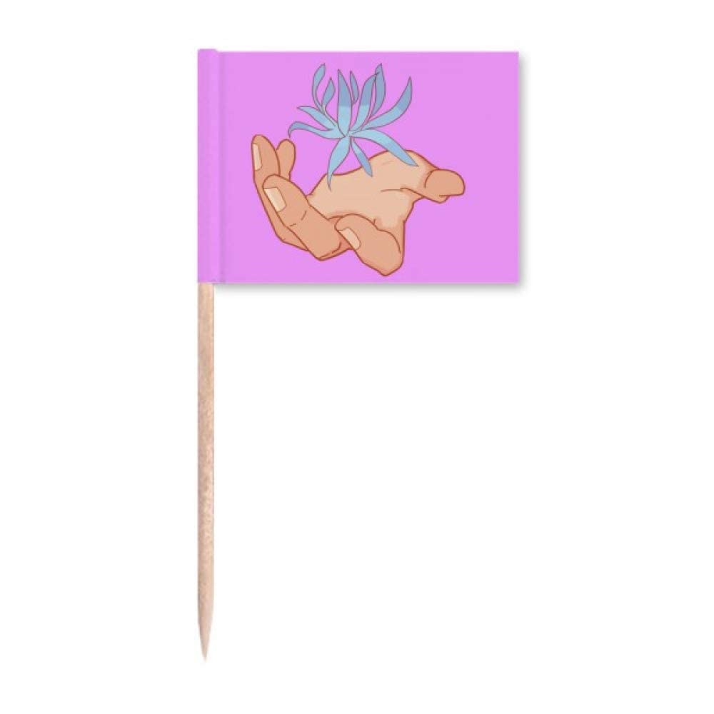 A K Homes- Equinox Flower Interlude Blossom Control Toothpick Flags Marker Topper Party Decoration