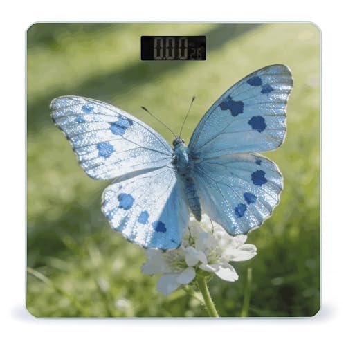 Báscula digital Light Blue Butterfly con LCD grande y 180 kg miniatura 1